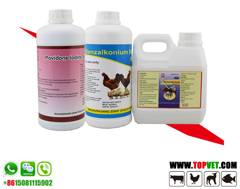 Povidone Iodine 5% Solution