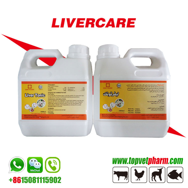 Liver Tonic Oral Solution