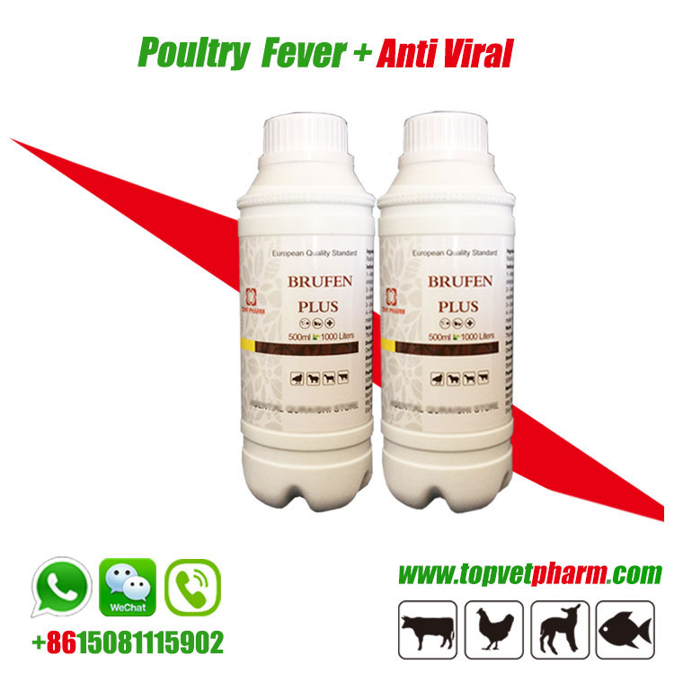 Anti Viral Fever Oral Solution