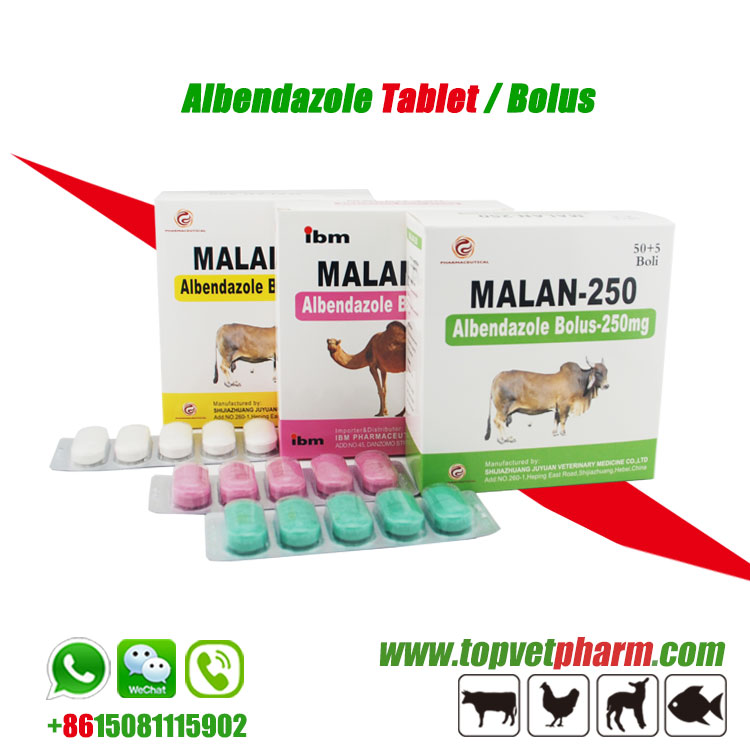 Anti Parasite Albendazole Bolus 300mg  2500mg 150mg