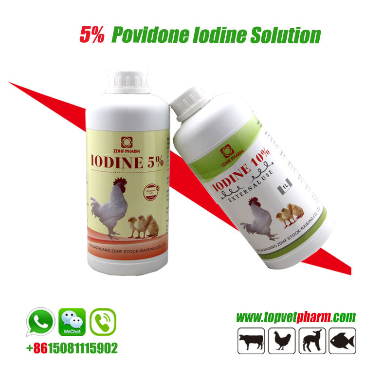 Povidone Iodine 5% Solution