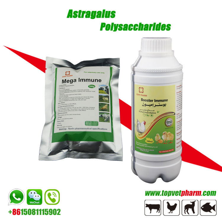 Astragalus Polysaccharide Solution /  Powder