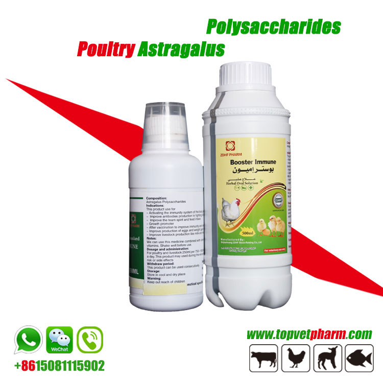 Astragalus Polysaccharide Solution /  Powder