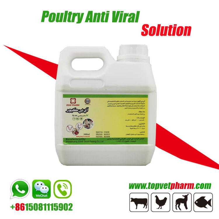 Poultry Natural Antiviral Solution