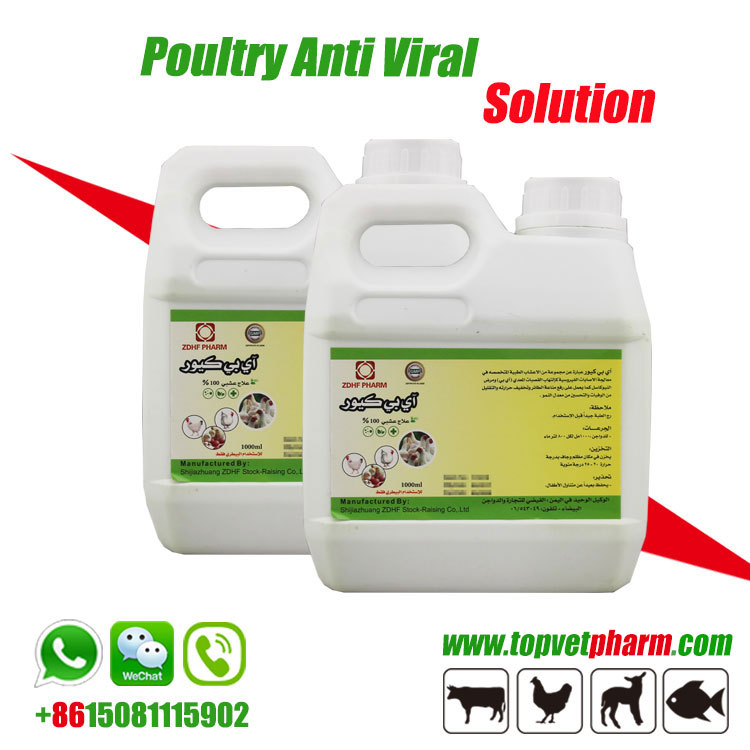 Poultry Natural Antiviral Solution