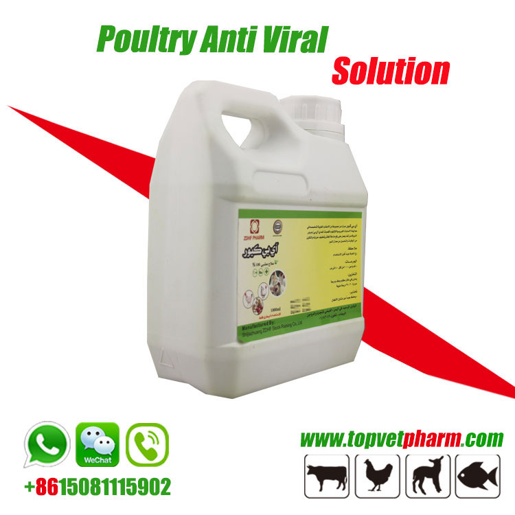 Poultry Natural Antiviral Solution