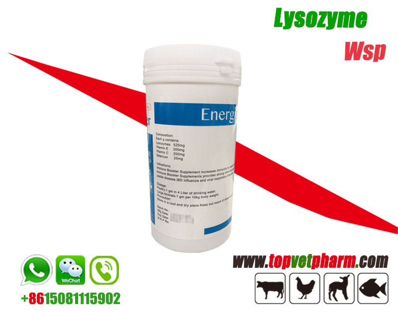 Lysozyme Water Soluble Powder