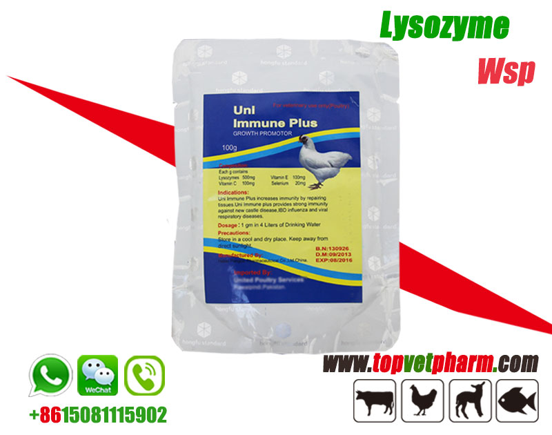 Lysozyme Water Soluble Powder