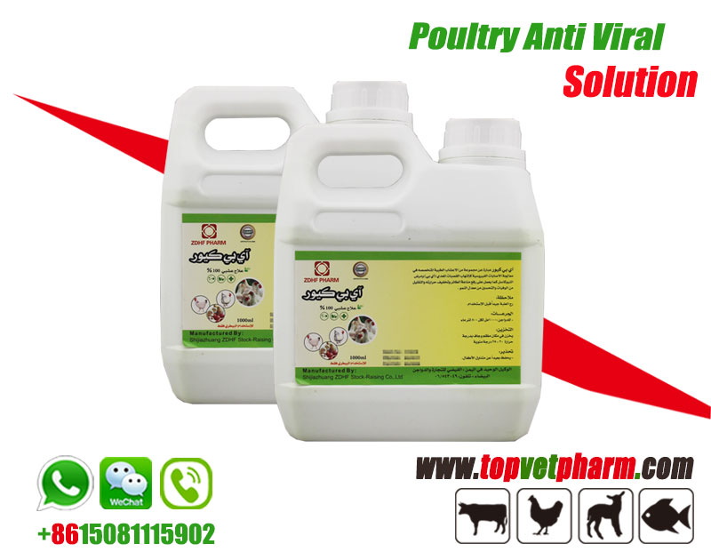 Poultry Natural Antiviral Solution