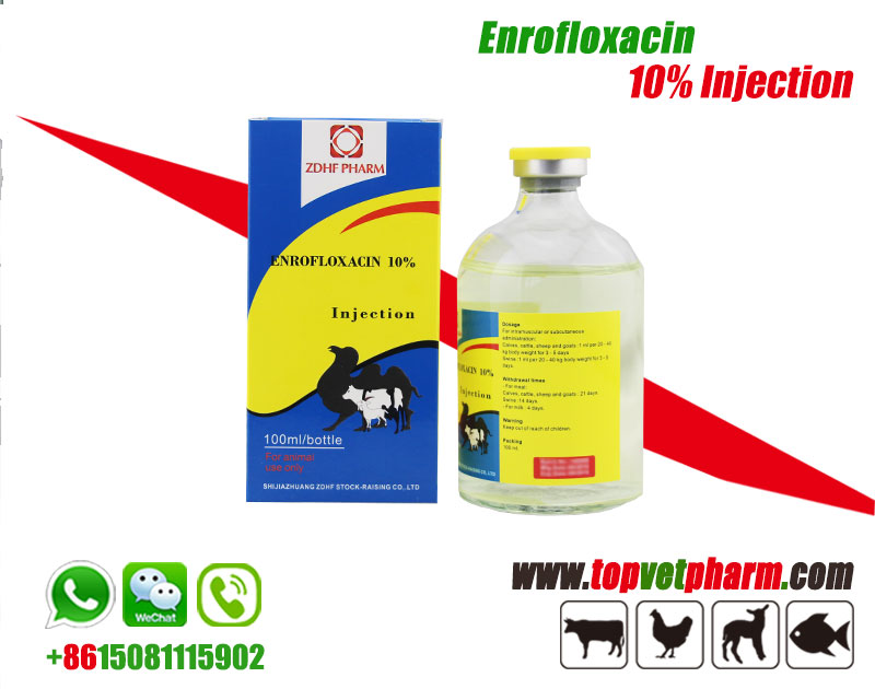 10% 20% Enrofloxacin Injection Solution