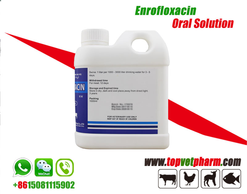 10% 20% Enrofloxacin Injection Solution