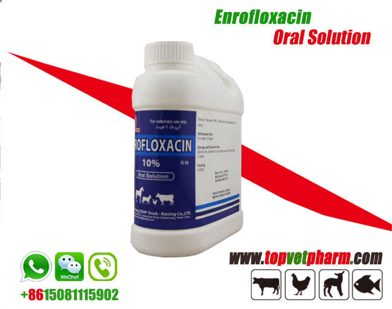 10% 20% Enrofloxacin Injection Solution