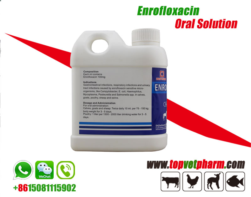 10% 20% Enrofloxacin Injection Solution