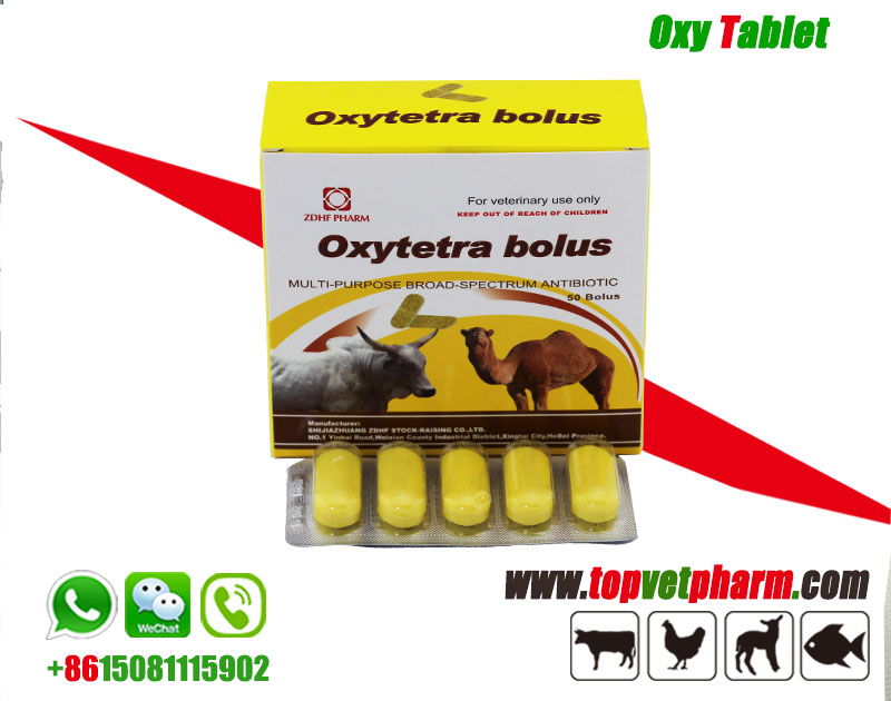 Oxytetracycline Tablet 