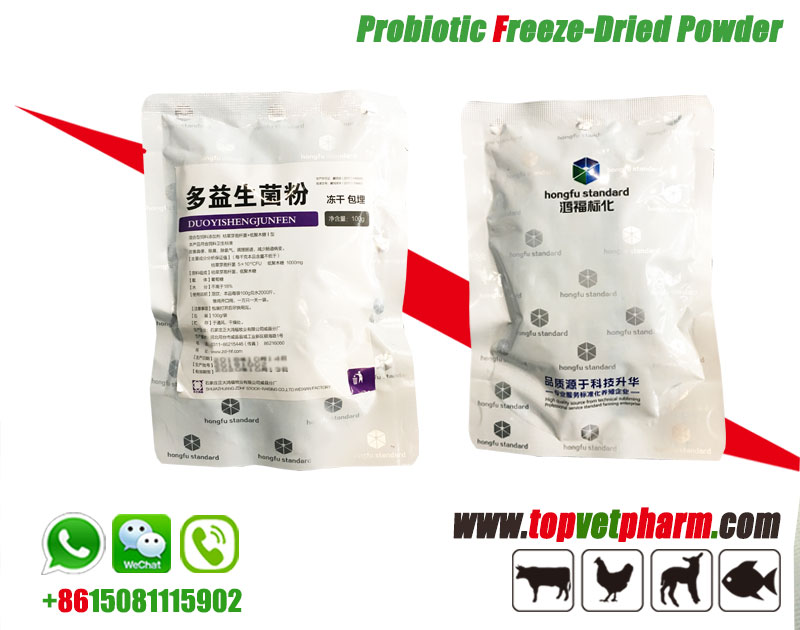 Poultry Probiotics Freeze Dried Powder