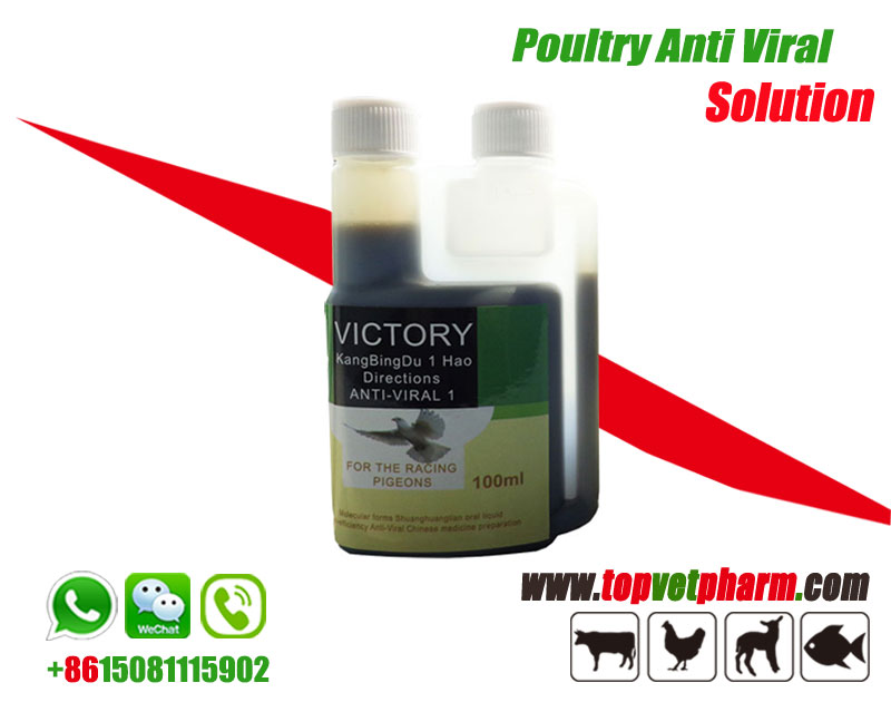 Anti Viral Solution