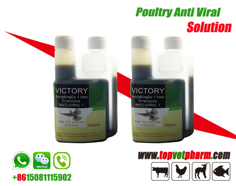 Anti Viral Solution