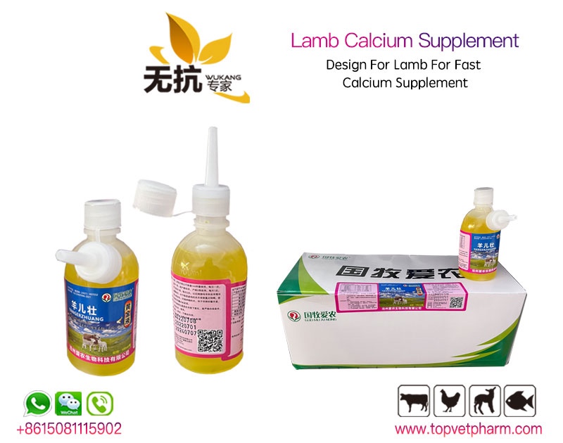 Lamb Calcium Supplement