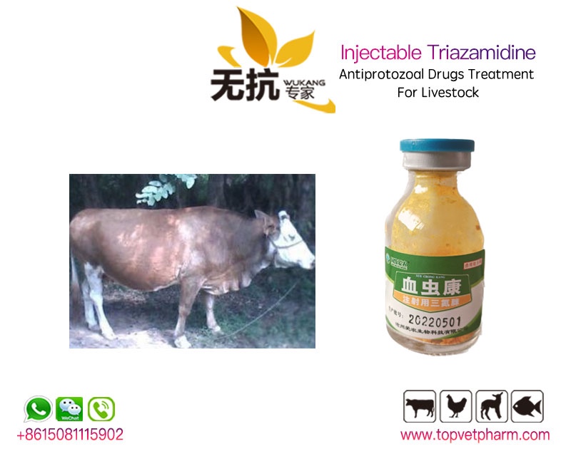 Injectable triazamidine Powder